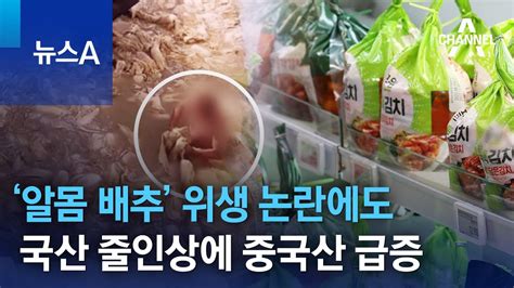 ‘알몸 배추 위생 논란에도국산 김치 줄인상에 중국산 급증 뉴스a Youtube