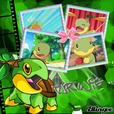 Turtwig