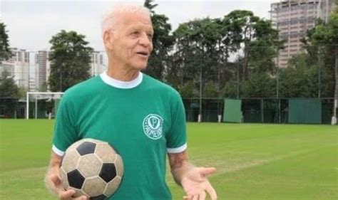 Veja quem são os 5 maiores meias da história do Palmeiras Minha Torcida