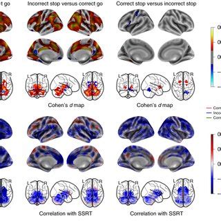 En Back Task Working Memory Activation Maps Performance Correlation