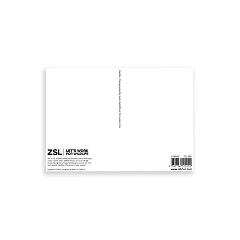 London Zoo Gifts | ZSL Shop – Page 2