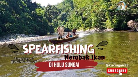 Spearfishing Nembak Ikan Di Hulu Sungai Banyak Dapat Ikan Ekor Merah