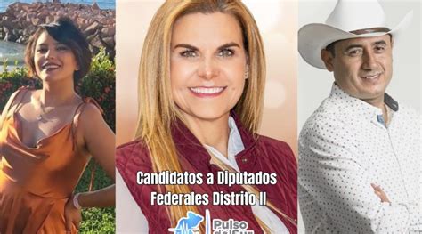 CONOCE A TUS CANDIDATOS A DIPUTADO FEDERAL Renueva TV