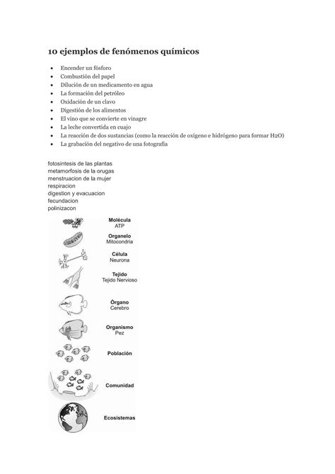 Ejemplos De Fen Menos Qu Micos Pdf