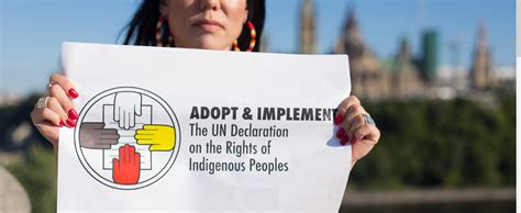 Webinar Declaration Of Rights Of Indigenous Peoples Act Investor