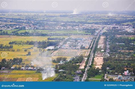 Aerial View of Paddy Rice Fields in Mekong Delta Stock Image - Image of ...