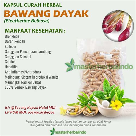 Jual BAWANG DAYAK Kapsul Curah Herbal 200x600mg Bisul Diabetes Wasir