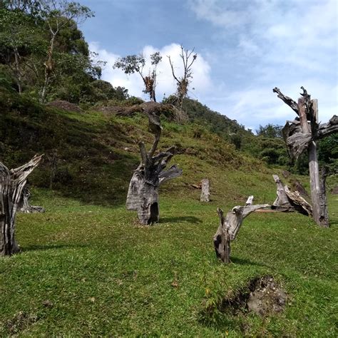 Trekking Desde Jardin A Támesis Con Guia Turistico Senderismo