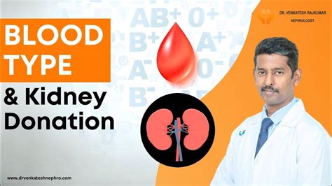 Kidney Donor Blood Match For Kidney Transplant Kidney Donation