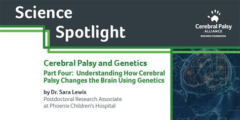 Science Spotlight On Cerebral Palsy And Genetics Understanding How