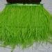 Lime Green Ostrich Feather Trimming Fringe Ostrich Feather Etsy