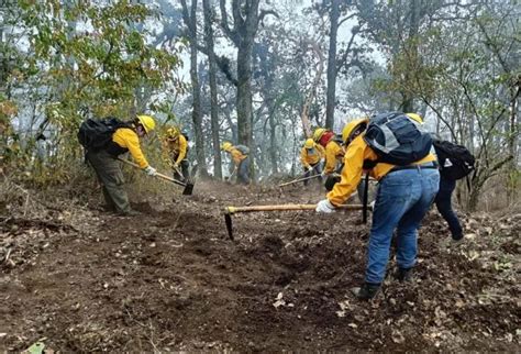 Sofocan Incendio Forestal En Soledad Atzompa Veracruz