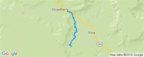 Pine Strawberry Trail Multi Trail Payson Az