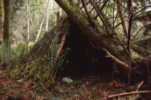 Can You Make a Fire Inside a Shelter? - Modern Survival Online