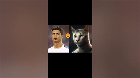 Cristiano Ronaldo Cat Cristiano Cat Youtube