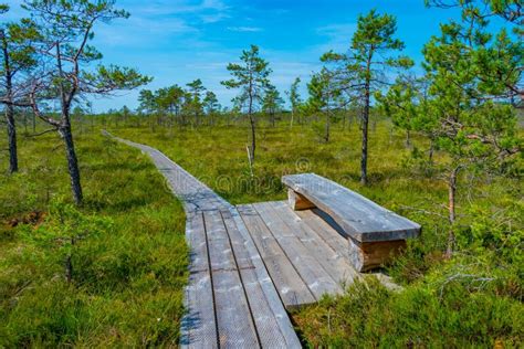 Landscape of Soomaa National Park in Estonia Stock Photo - Image of ...