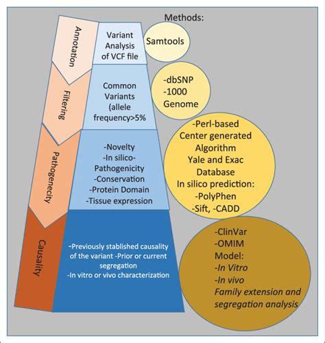 Pipeline to assess the pathogenicity of genetic variants identified in ...