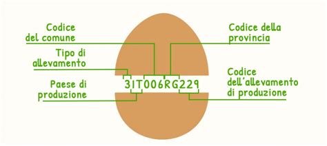 Uovo E Codice Di Tracciabilit Come Leggere L Etichetta