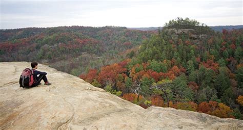 Daniel Boone National Forest Hiking