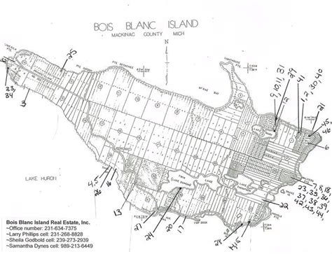 Map of Bois Blanc Island, Michigan