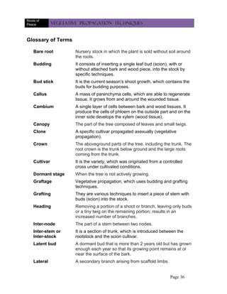 Vegetative propagationtechniques importance | PDF