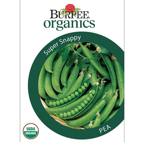 Organic Pea Super Snappy - Burpee Seeds – Wildwood Outdoor Living