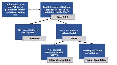 Section 7 Consultation Process Flow Chart FWS Gov