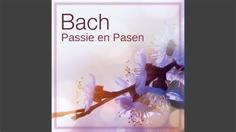 J S Bach St Matthew Passion Bwv Part Two No Aria Bass