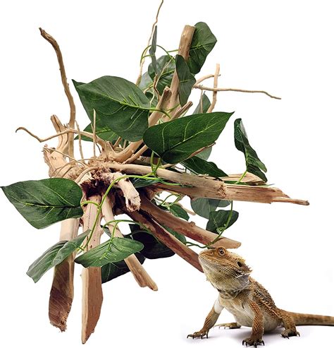 Reptile Driftwood Large Climbing Branches Amphibian Trunk Log Ornament