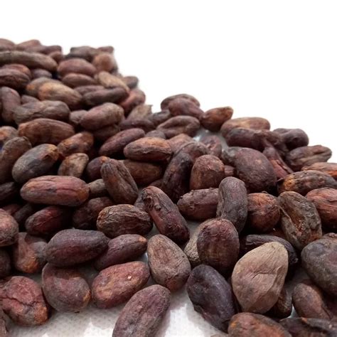 High Quality Cheap Price Chocolate Nibs Seed Organic Raw Dried