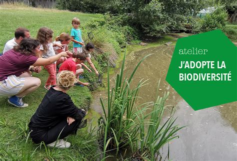 la mare cette oasis de biodiversite artpiculture