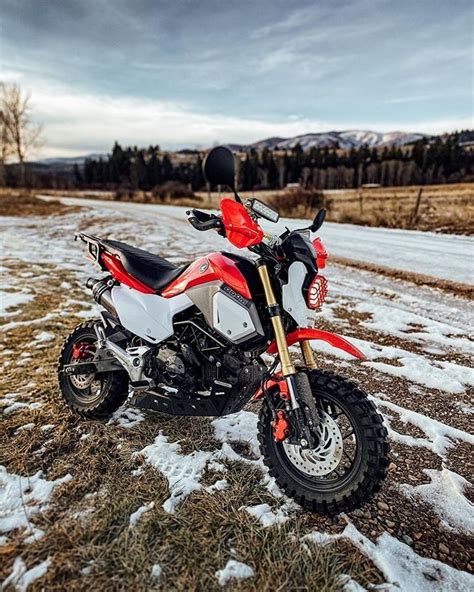 Wandergrom Off Road Honda Grom Dirt Bike Build — Wanderlust Not Less