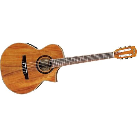 Ibanez EW Series EWN28KOENT Cutaway Nylon String Acoustic-Electric Guitar | Music123