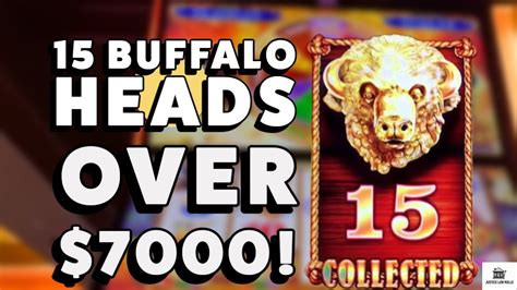 Gold Buffalo Heads Bet Buffalo Gold Revolution Over