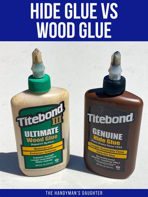 Hide Glue Vs Wood Glue Which Is Better The Handymans Daughter