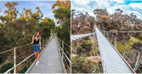 This Park In San Diego Has a 375-Foot Suspension Bridge That You Can ...