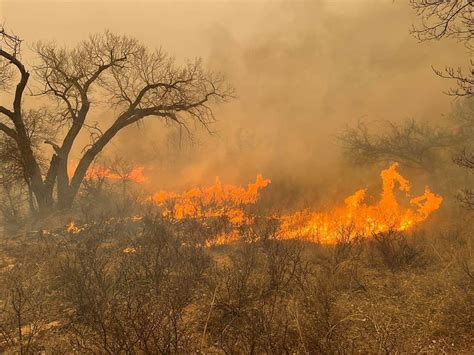 Second-largest wildfire in Texas history rages across Panhandle – ThePrint – ReutersFeed