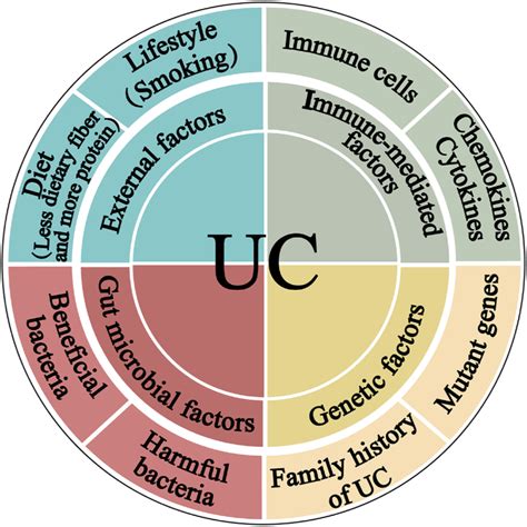 The Pathogenesis Of Ulcerative Colitis The Four Main Components Linked Download Scientific