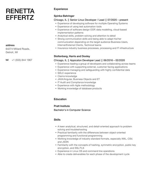 Developer Lead Resume Samples Velvet Jobs