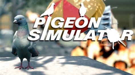 Pidgeon Simulator Explosions With Poop Prototype Gameplay Youtube