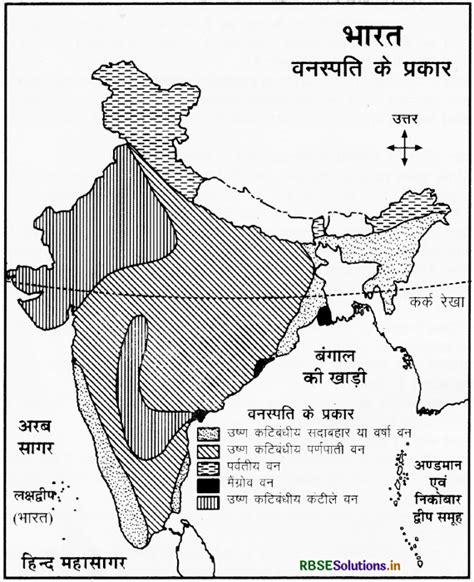 Rbse Solutions For Class 9 Social Science Geography Chapter 5 प्राकृतिक वनस्पति एवं वन्य जीवन