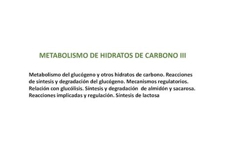 Pdf Metabolismo De Hidratos De Carbono Iii Metabolismo Del