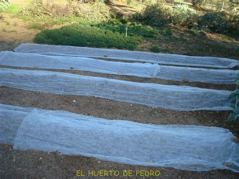 El Huerto De Pedro De Forma Sana Y Natural Mantas T Rmicas