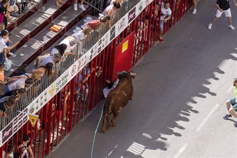 Fotos De Los Toros Ensogados En Teruel Im Genes