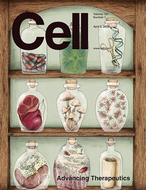 科学与艺术的结合！《cell》100张期刊封面鉴赏｜2020年篇 知乎