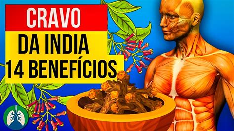 14 BENEFÍCIOS DO CRAVO DA INDIA PARA A SUA SAÚDE se você consumir