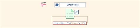 R Binary Files Scaler Topics