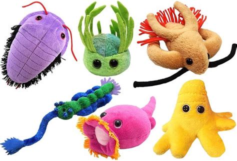 Giant Microbes Plush Gift Box Sets | Sewing stuffed animals, Giant ...