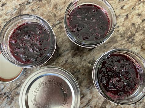 Homemade Huckleberry Jam | Favorite Family Recipes