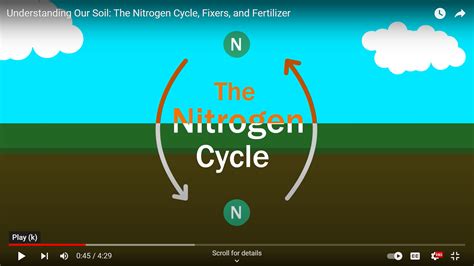 Understanding Our Soil The Nitrogen Cycle Fixers And Fertilizer